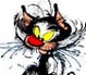Avatar de l’utilisateur